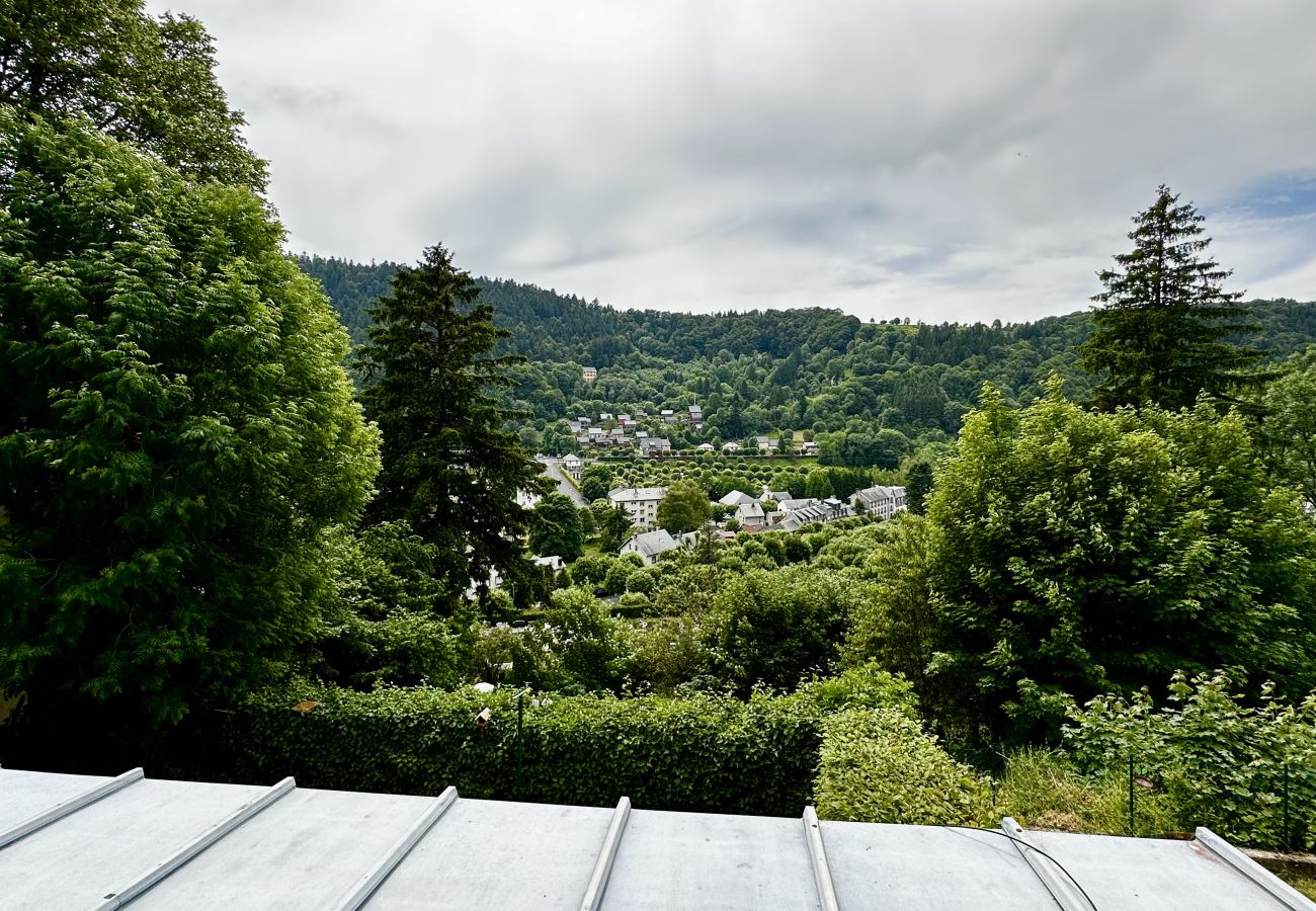 House in Mont-Dore - Maison Le Barbier - 10 pers