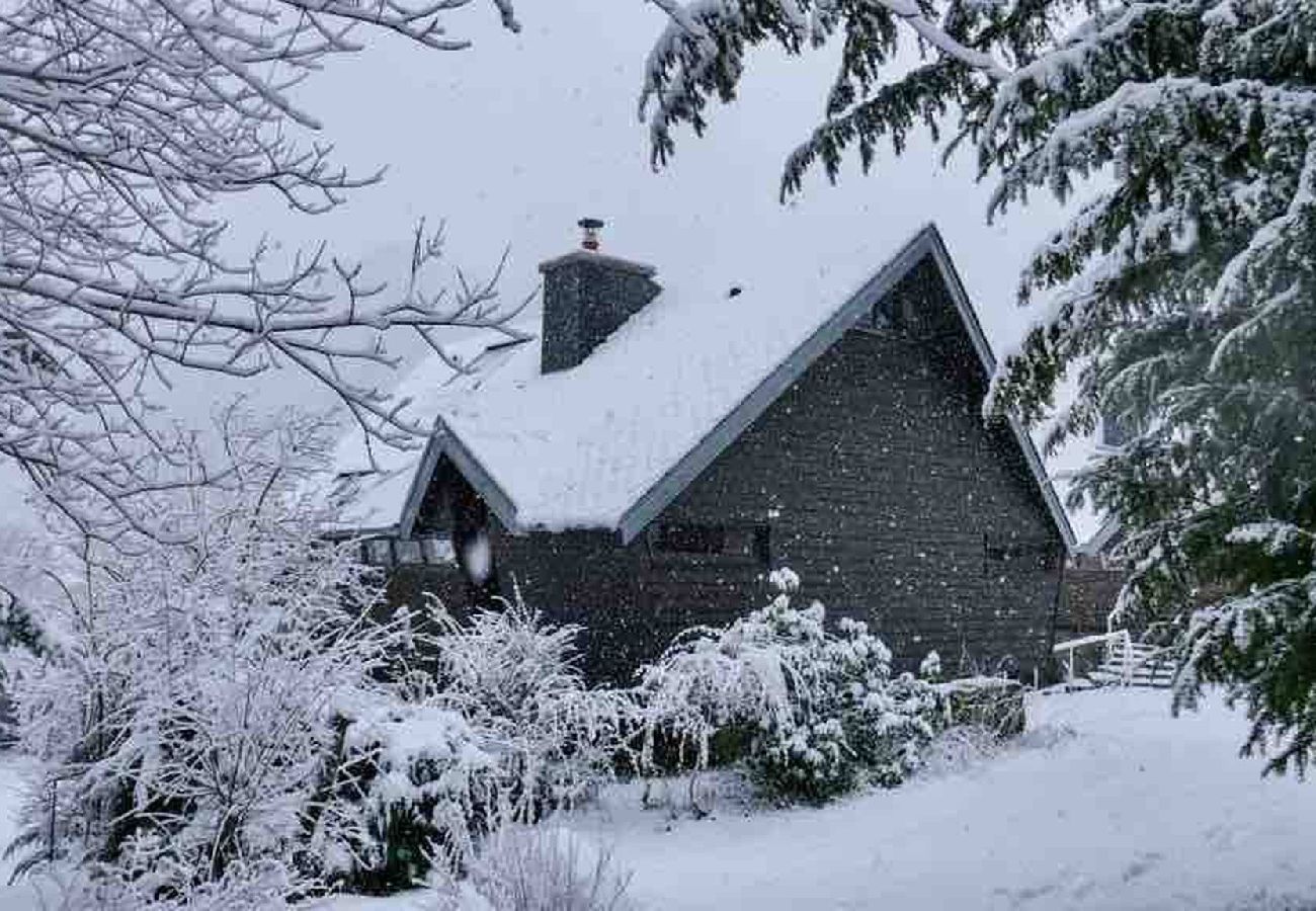 Chalet in Mont-Dore - Le Chalet 36 -Le Mont-Dore