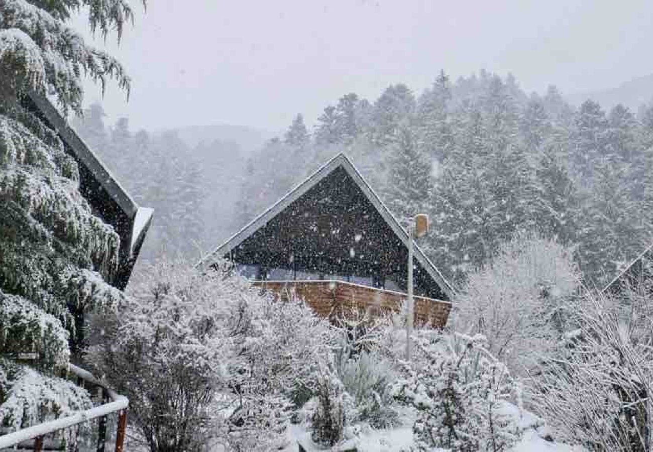 Chalet à Mont-Dore - Le Chalet 36 -Le Mont-Dore