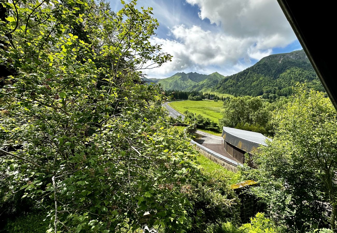 Chalet à Mont-Dore - Le Chalet 36 -Le Mont-Dore